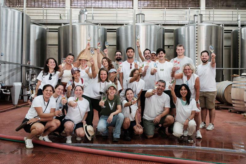 Vindima Solidária, 5 de setembro de 2026 — foto 6